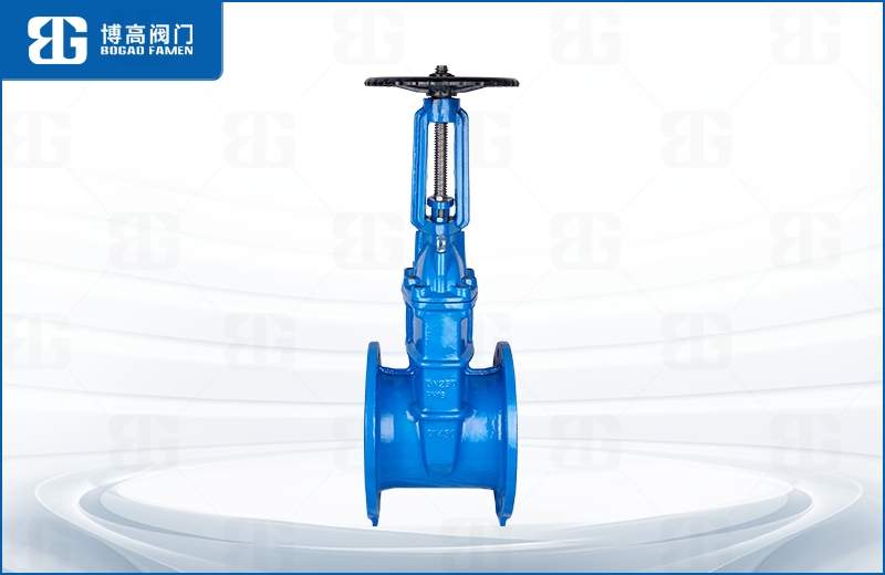 明杆彈性(xìng)座封閘閥