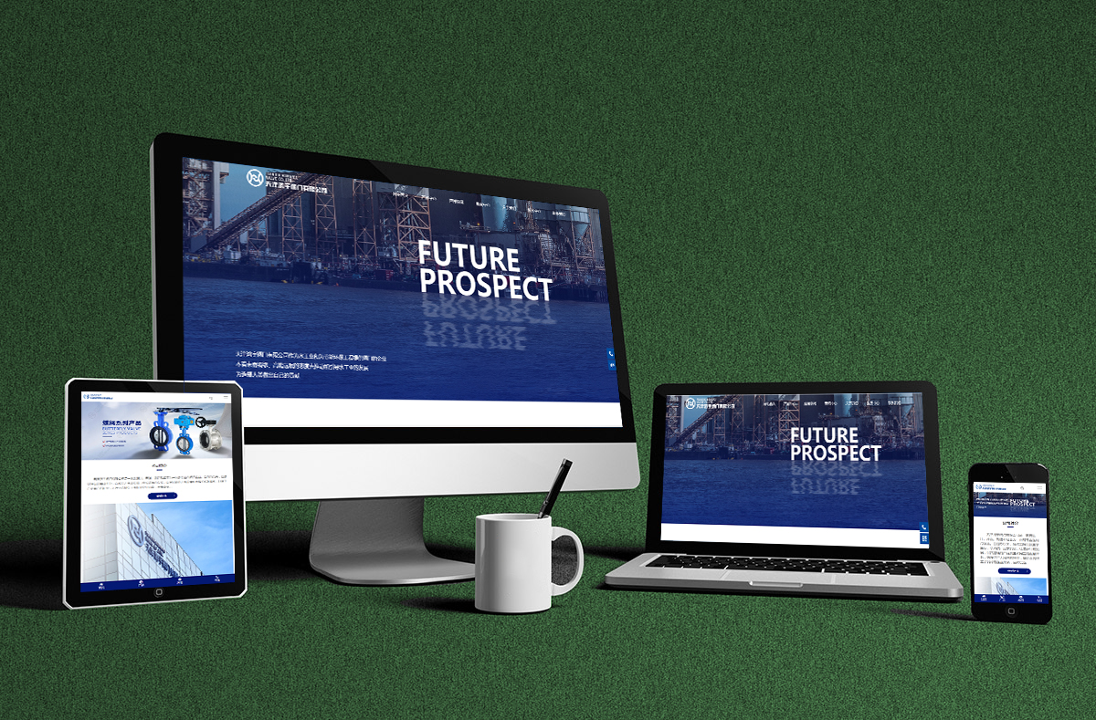 熱烈慶賀(he)南京博高閥門(mén)有限公司網站(zhan)正式開通