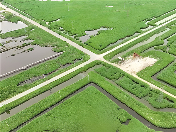 打造綠(lü)色低碳(tan)油田 做(zuo)綠色發(fā)展的“頂(ding)梁柱”